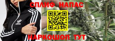 ПСИЛОЦИБИНОВЫЕ ГРИБЫ Донской