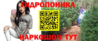 ПСИЛОЦИБИНОВЫЕ ГРИБЫ Донской