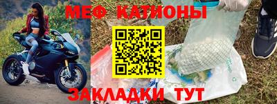 прущие грибы Дубна
