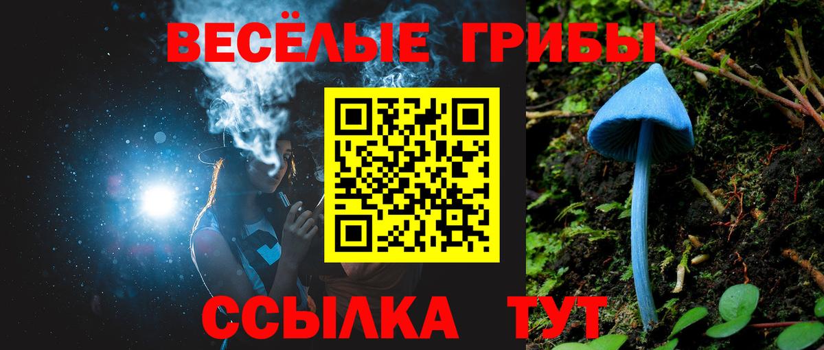 Галлюциногенные грибы MAGIC MUSHROOMS Нарткала